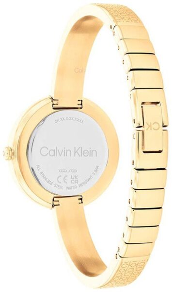 Calvin Klein Γυναικείο ρολόι 25200182