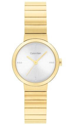 Calvin Klein Γυναικείο ρολόι 25200416